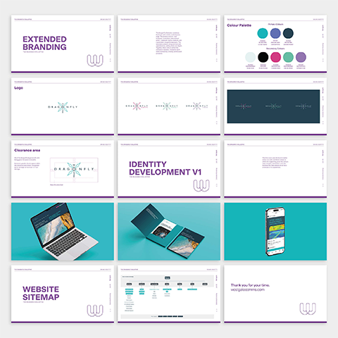 DragonFly Surveys brand evolution and guidelines