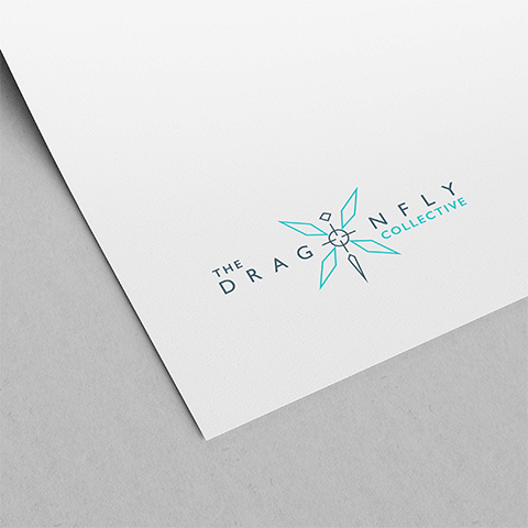 DragonFly Surveys logo and brand mark